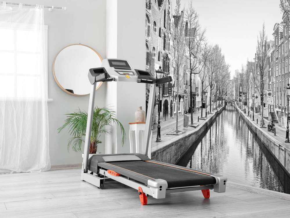 Amsterdam w czerni i bieli