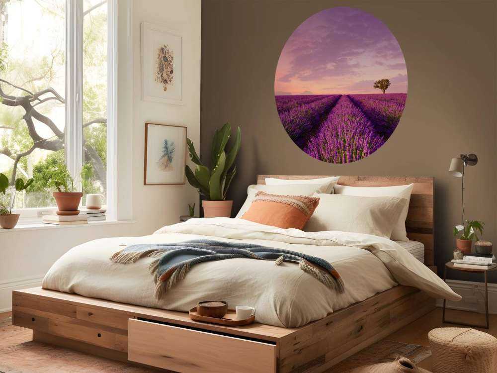 Lawendowe pole i balon na gorące powietrze