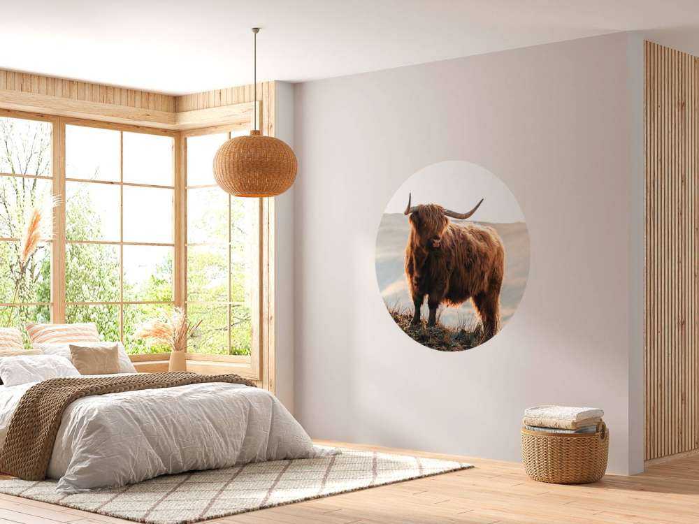 Szkocki wyżyn na wzgórzu