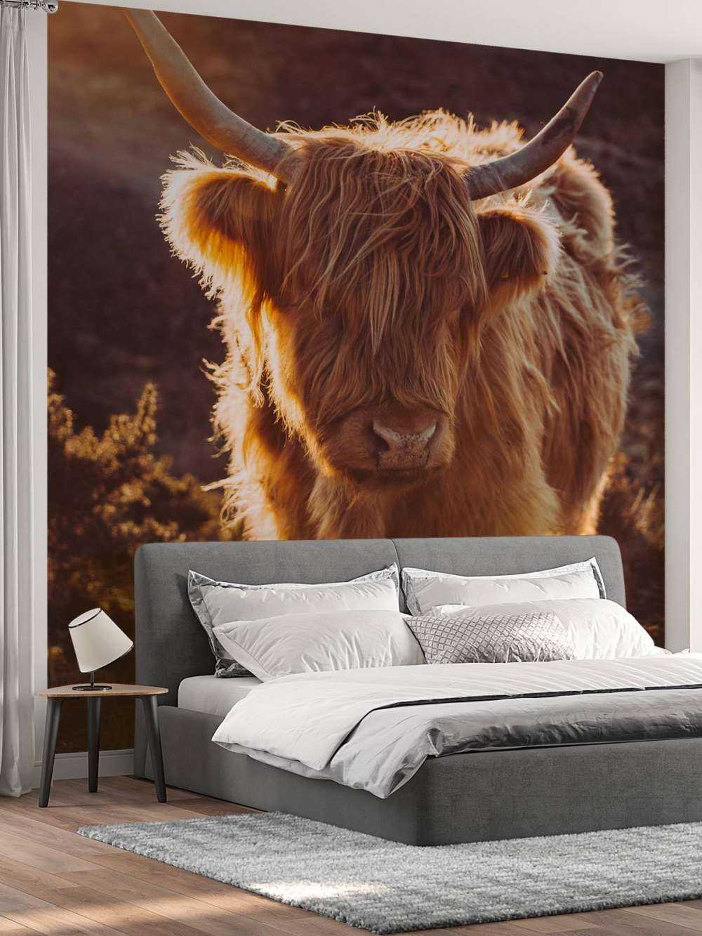 Szkocki wyżyn w słońcu