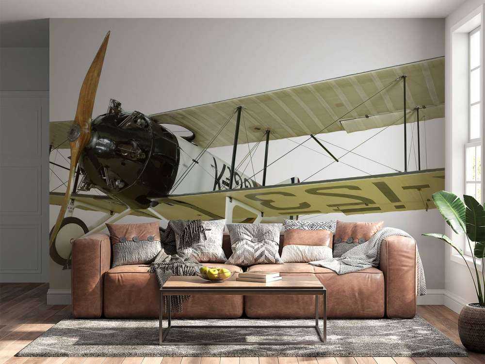 Stary samolot FK 23 Bantam