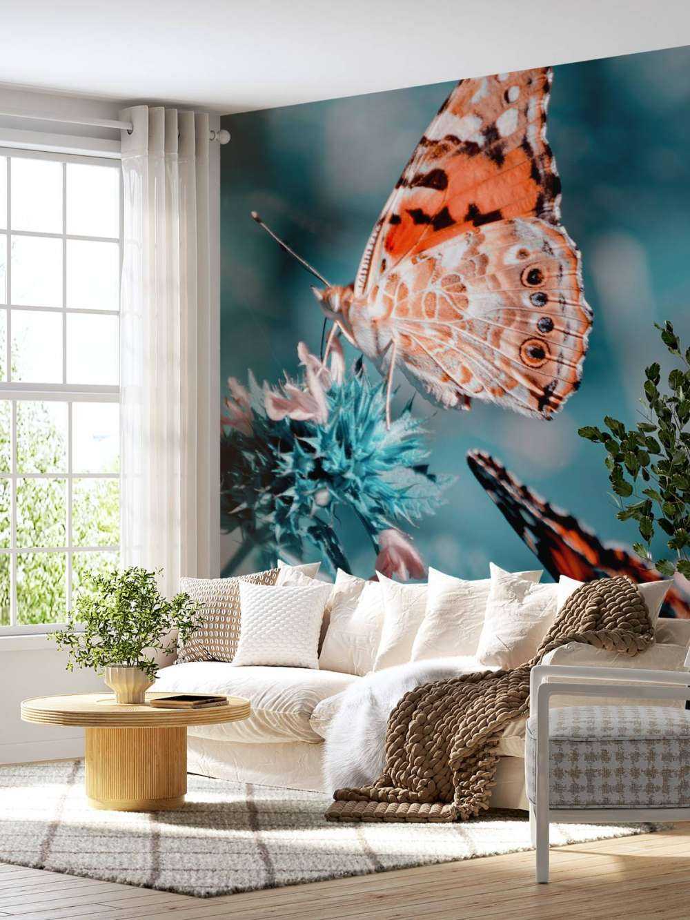 Motylki pomarańczowe