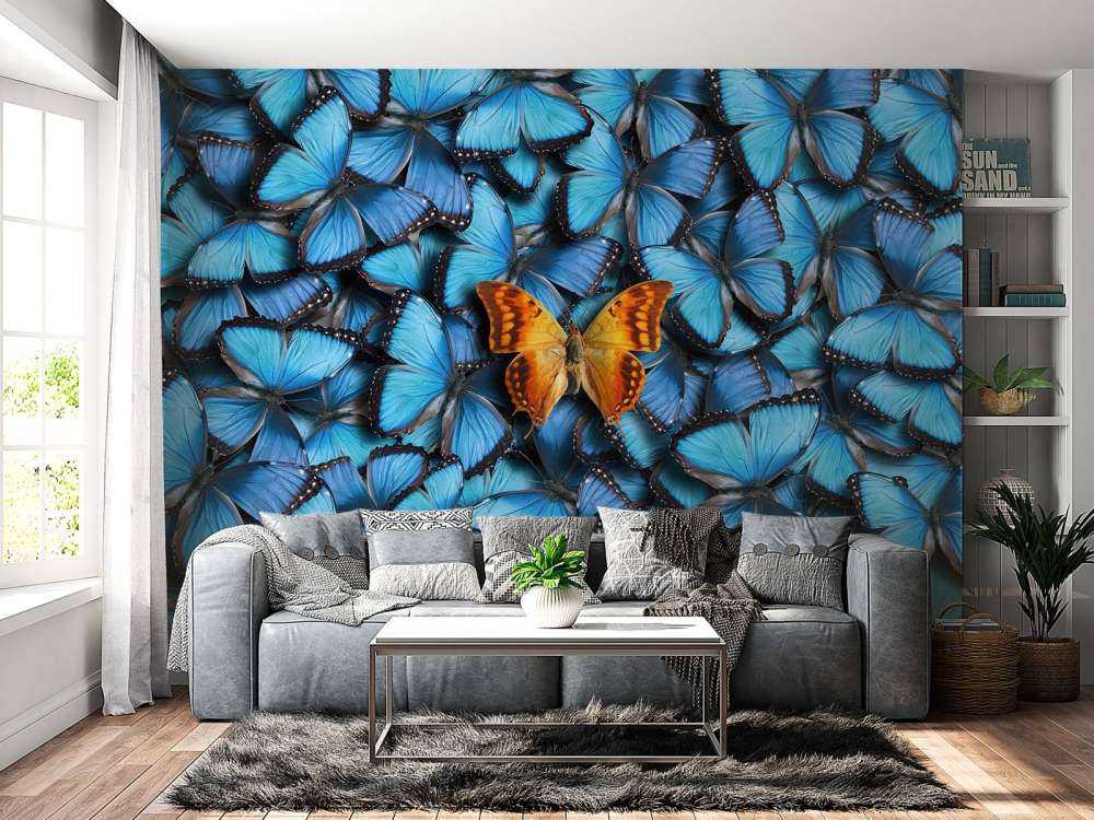 Kompozycja motylkowa