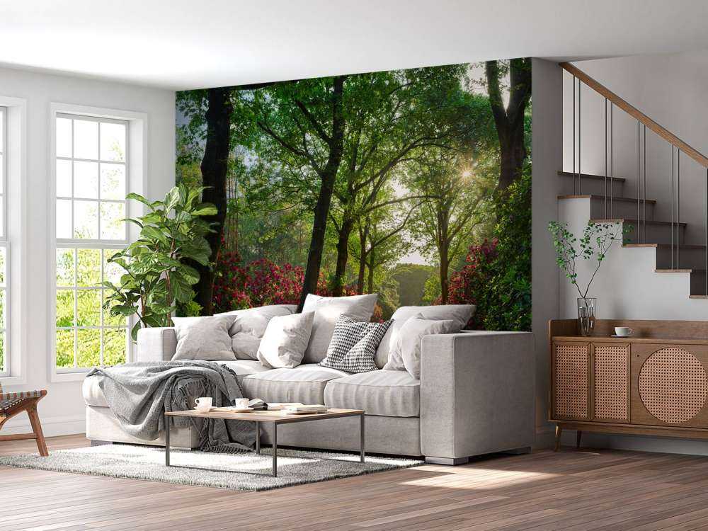 Wschód słońca na ścieżce z rododendronami