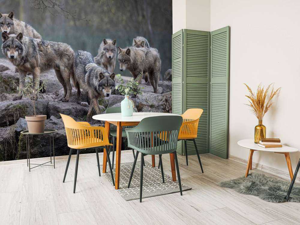 Strażnik lasu Zmierzch