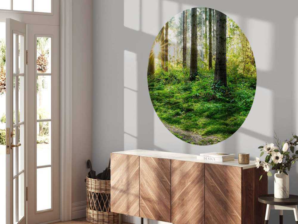 Leśna panorama na wiosnę