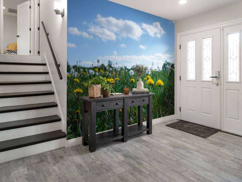 Żółte mniszki lekarskie