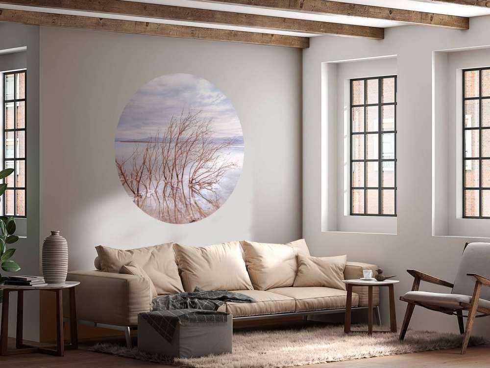 Gałęzie w Morzu Martwym