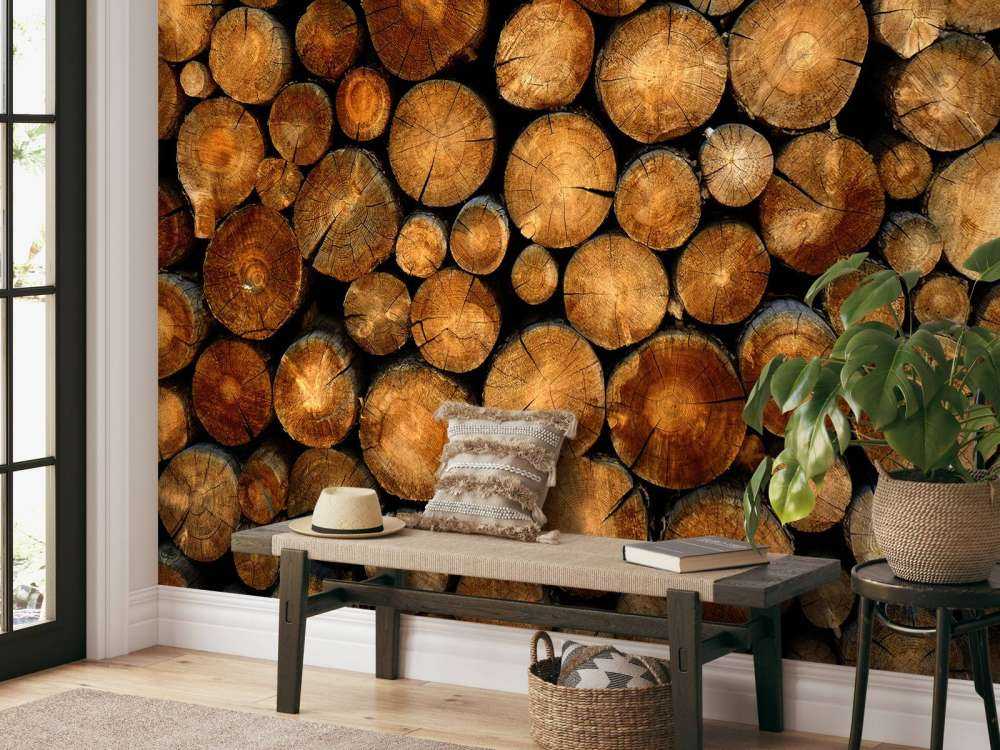 Ułożone w stosy ścięte drzewa