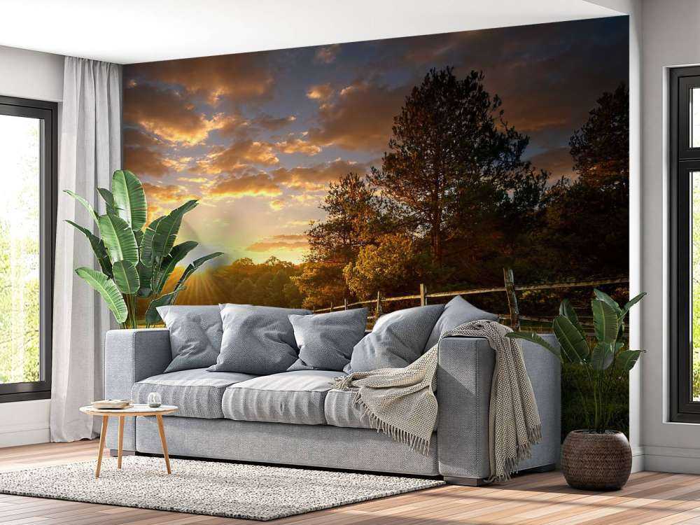 Pastwisko o zachodzie słońca