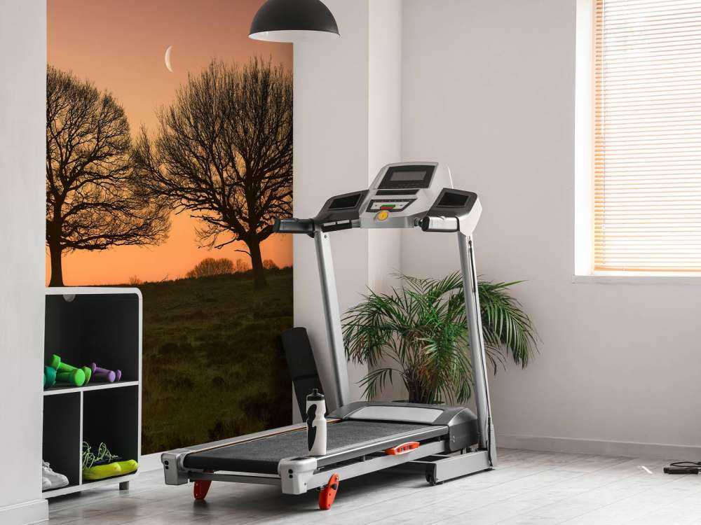 Księżyc między drzewami