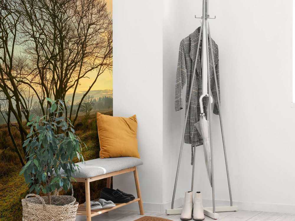 Wschód słońca na wrzosowisku