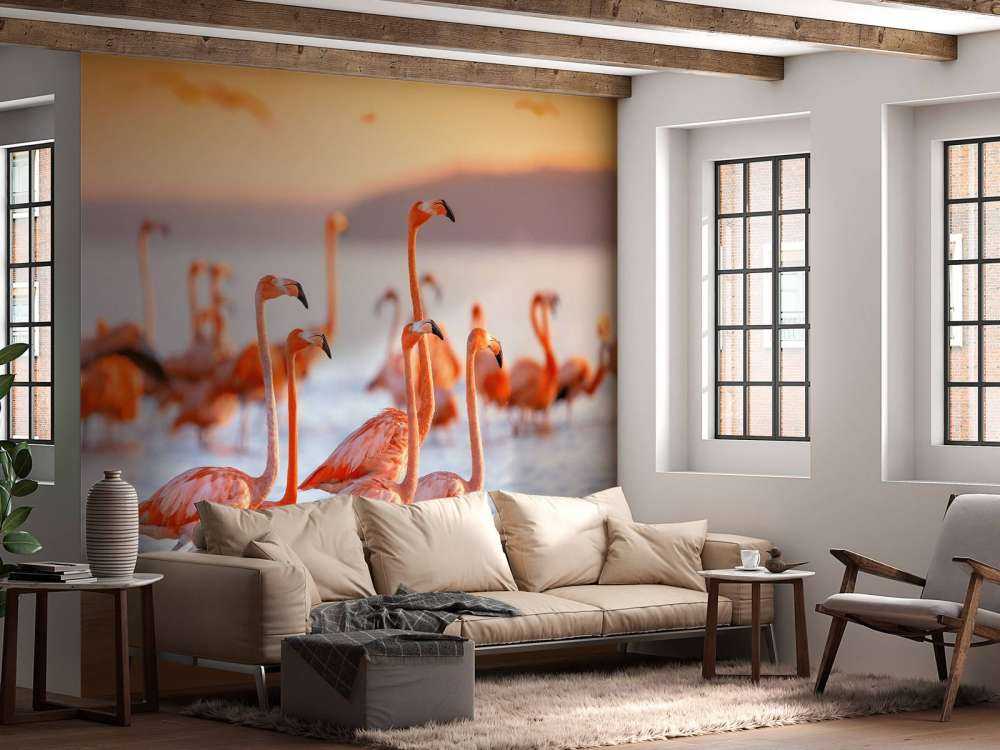 Gapiące się flamingi