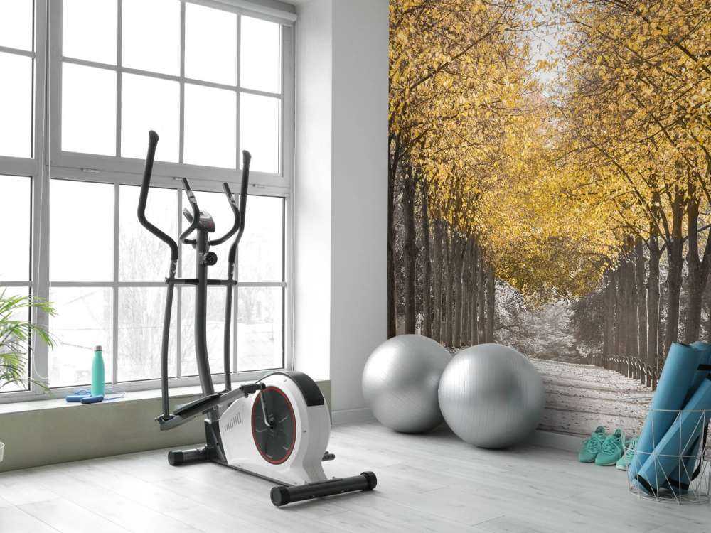 Ścieżka wśród drzew