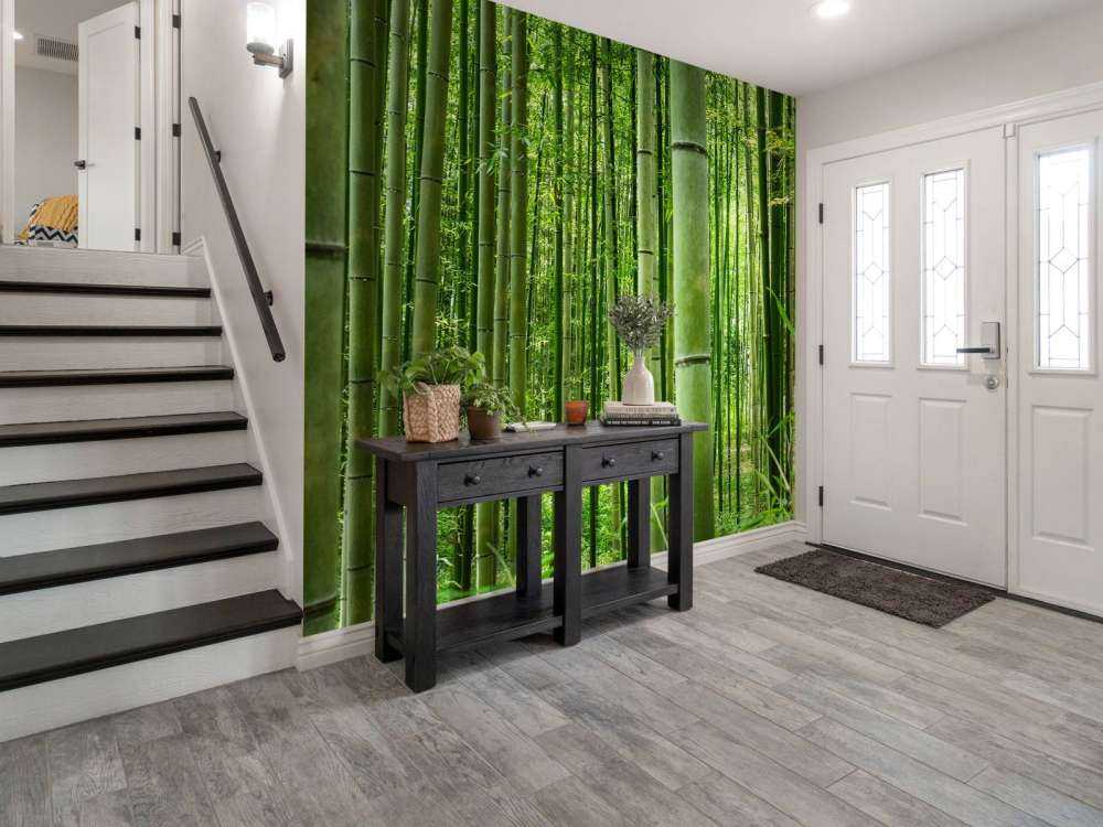 W środku lasu bambusowego