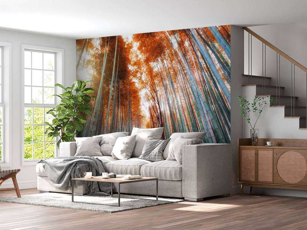 Jesienny las bambusowy