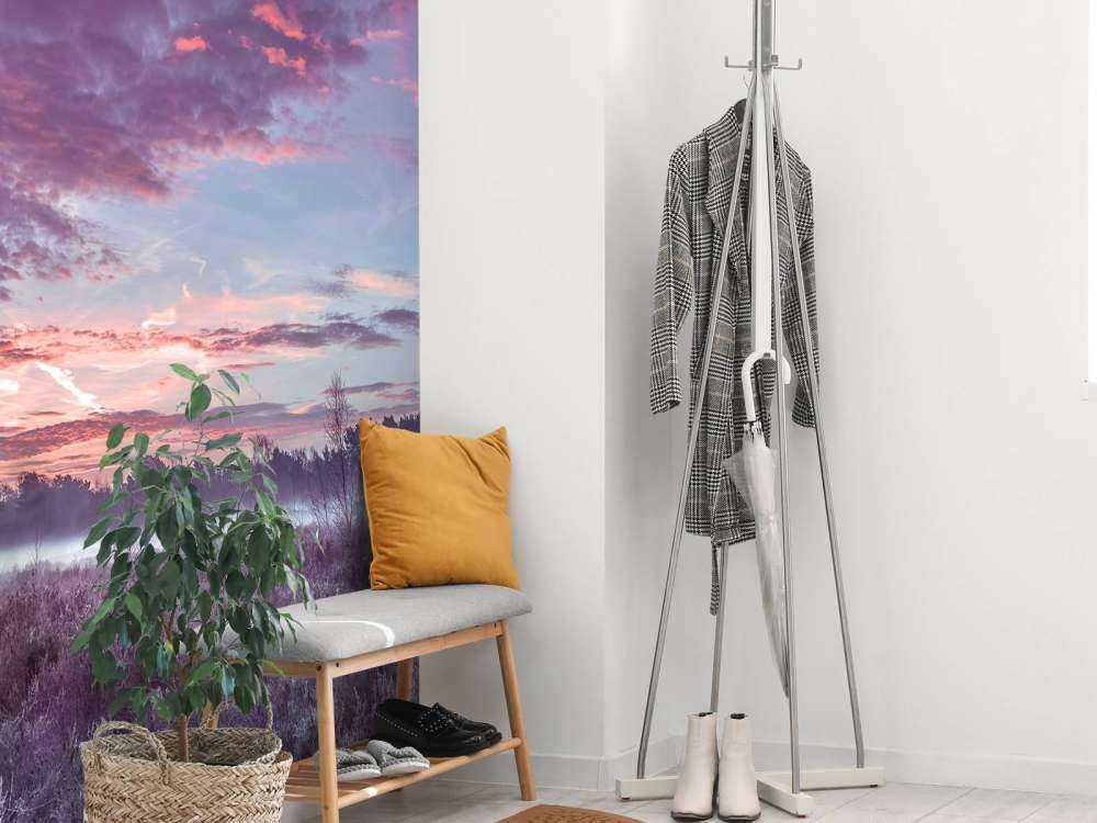 Łąka pod pochmurnym niebem