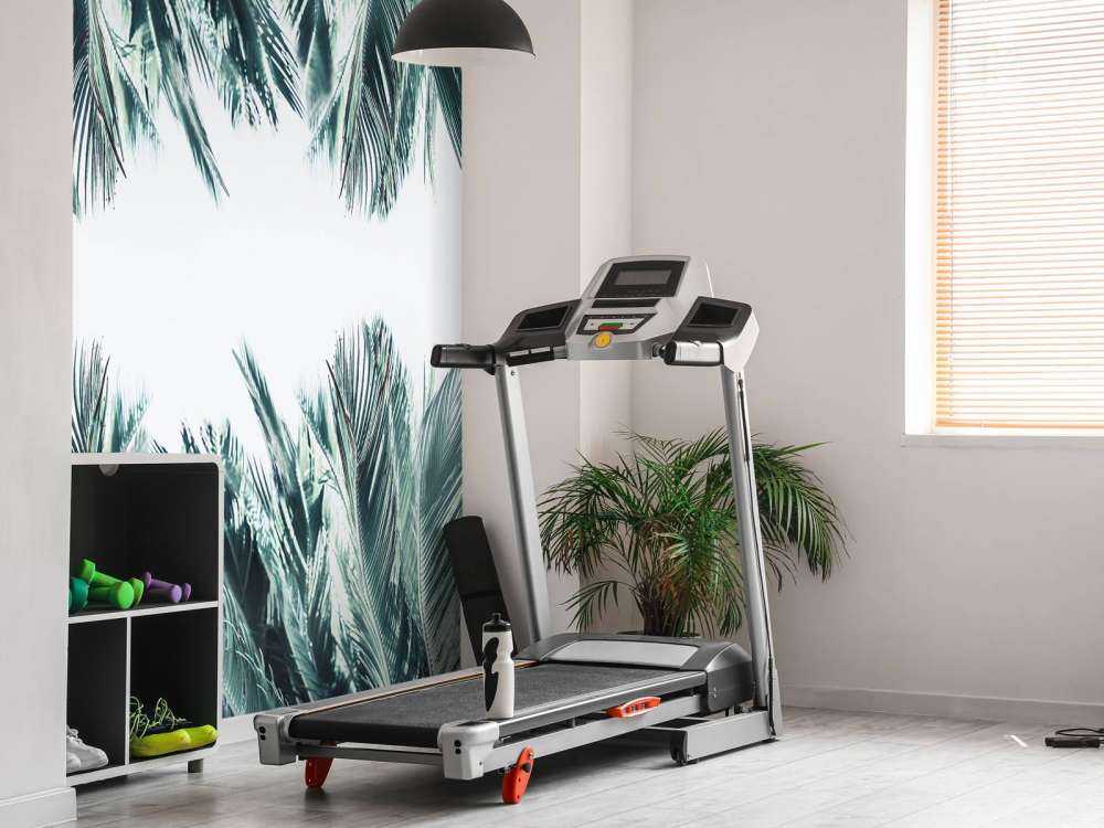 Liście palmowe na białym tle