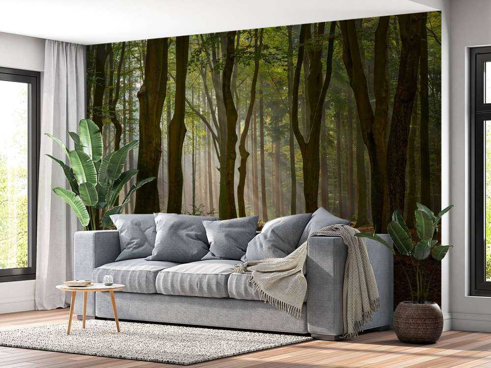 Promienie słońca na ścieżce przez las