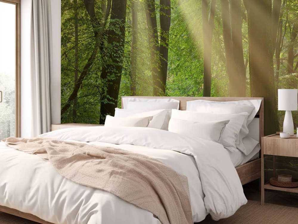 Harfy słoneczne w lesie