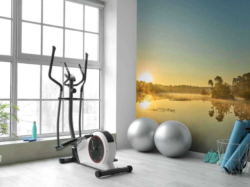 Wschód słońca nad jeziorem leśnym