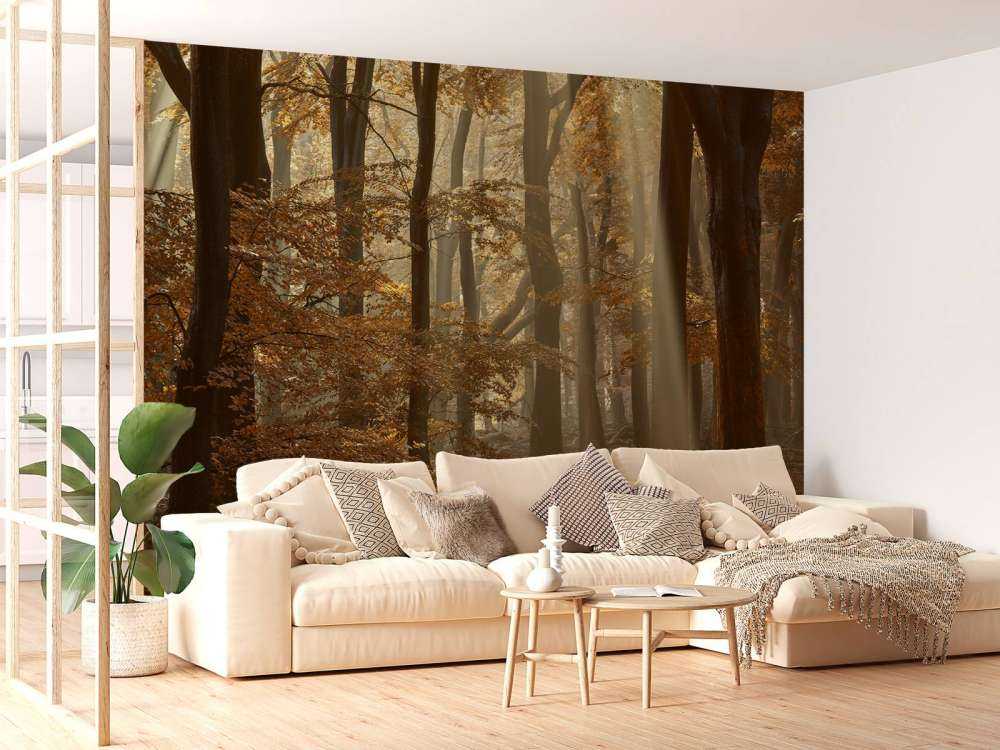 Jesienne kolory w lesie