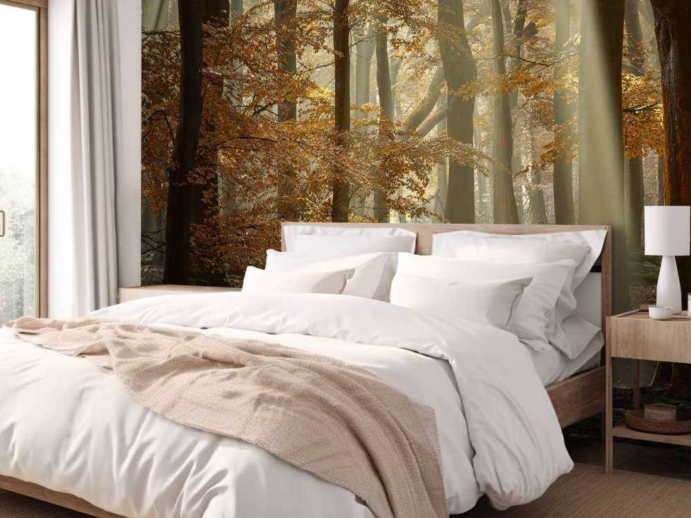 Jesienne kolory w lesie