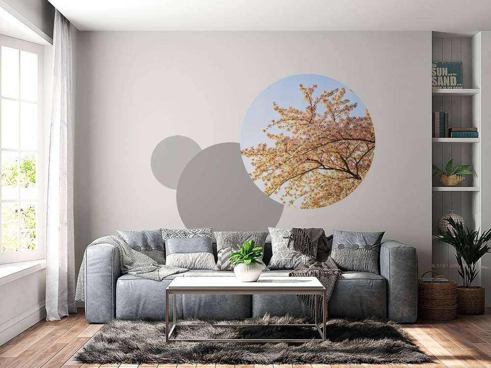 Gałąź kwitnąca w rozkwicie