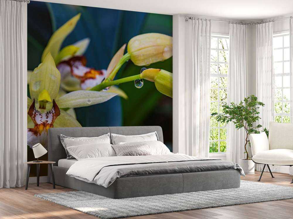 Dzika żółta orchidea