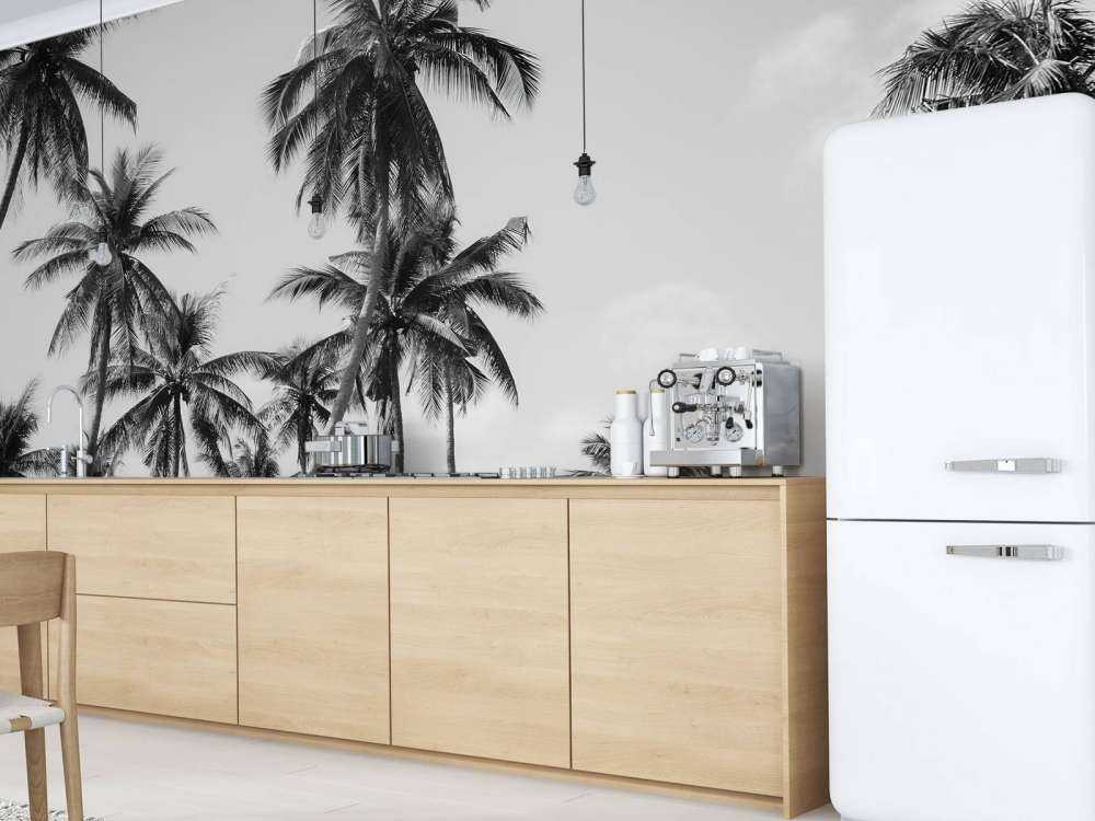 Palmy w czerni i bieli