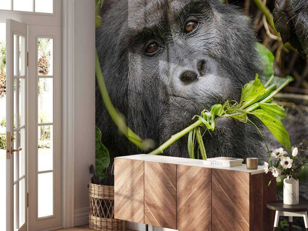 Goryl między gałęziami