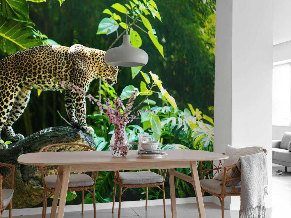 Leopard na skale