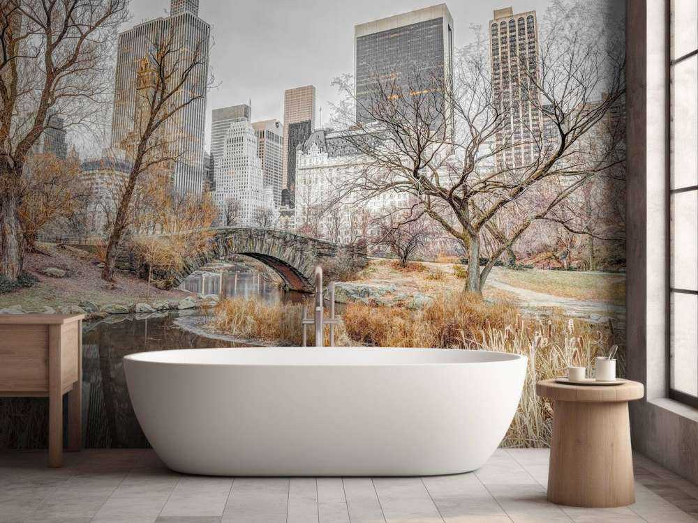 Park Centralny w zimie