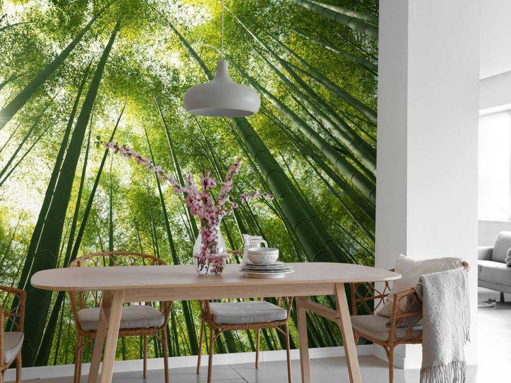 Las bambusowy w Japonii