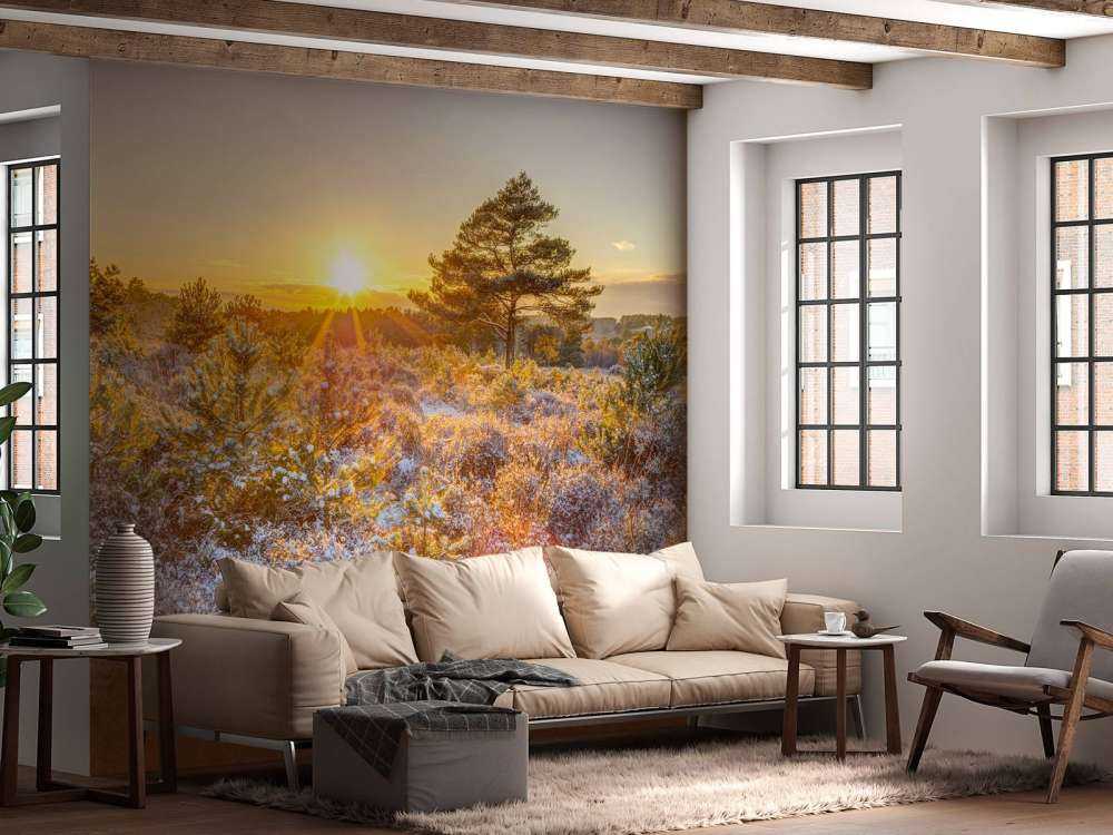 Zimowy zachód słońca