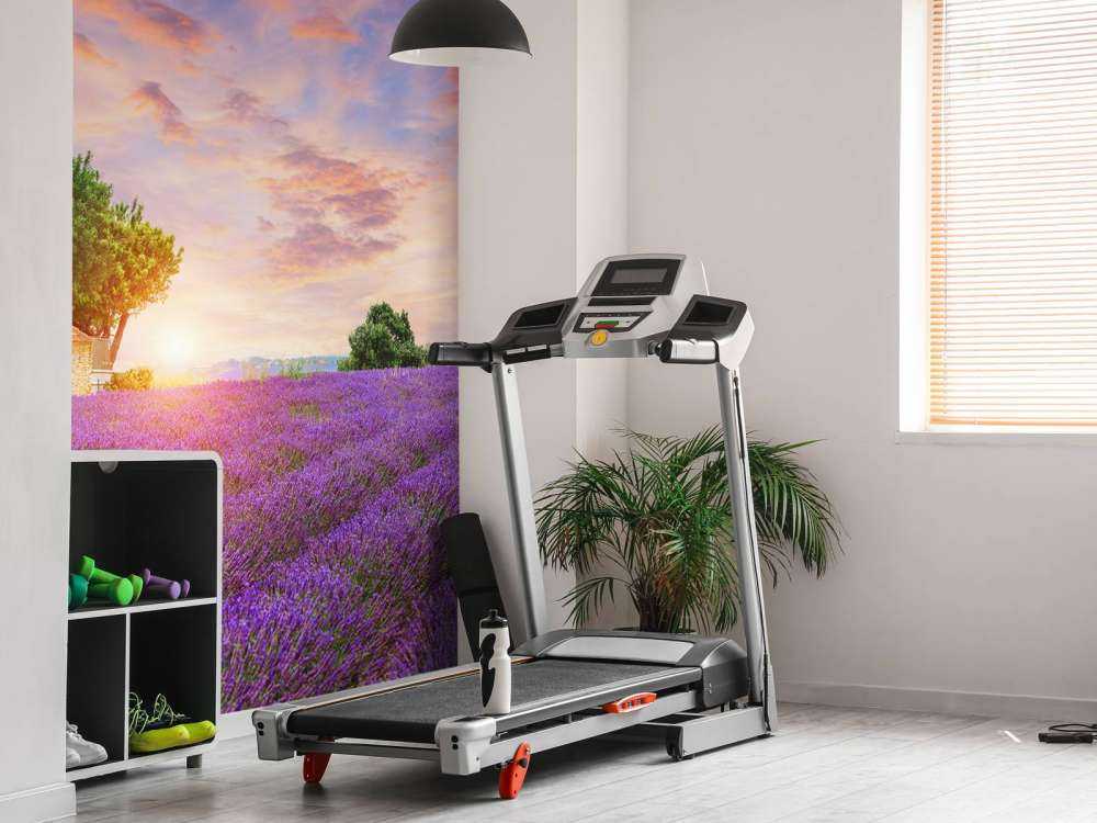 Pole lawendowe podczas wschodu słońca