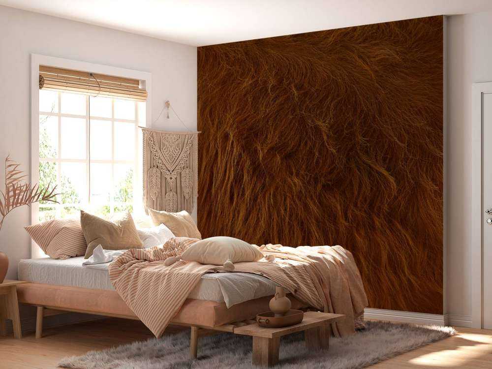 Sierść szkockiego wyżynna