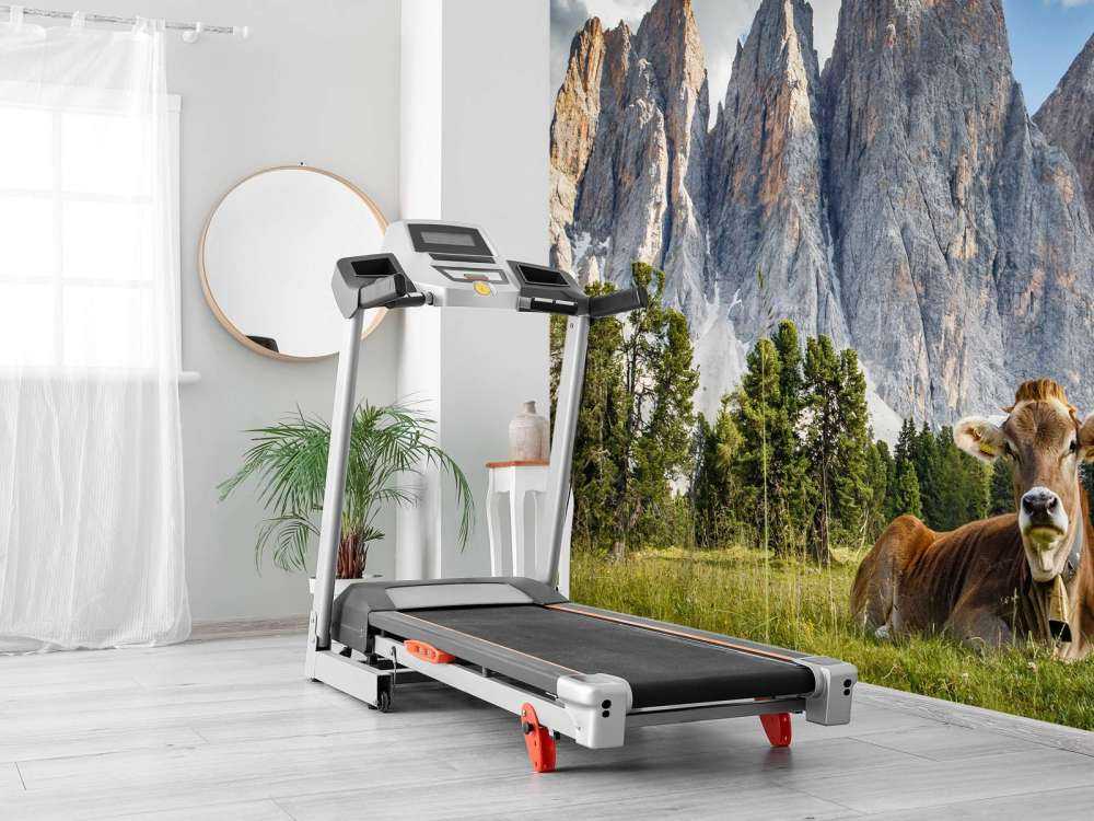 Krowa z dzwoneczkiem