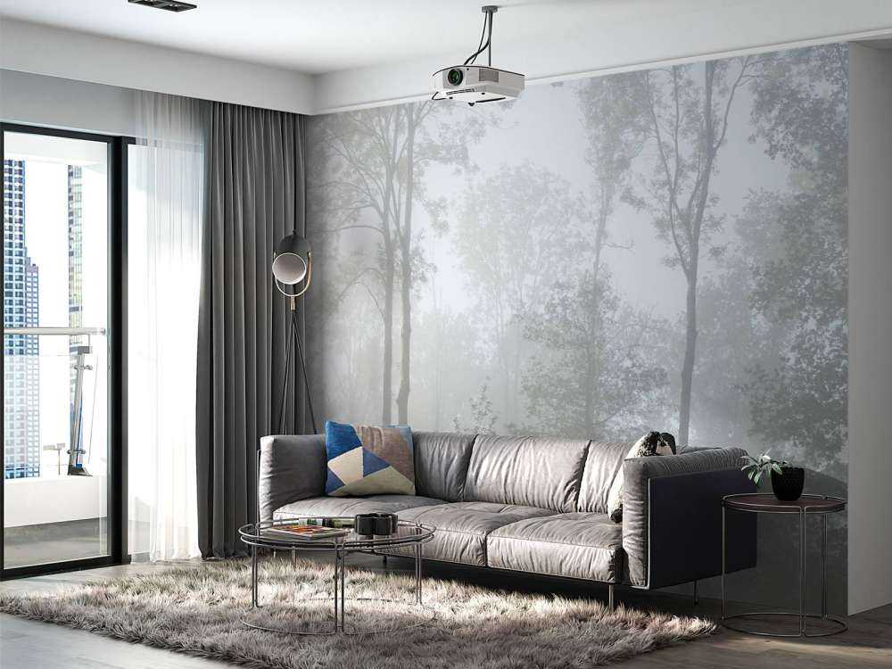 Gęsta mgła w lesie