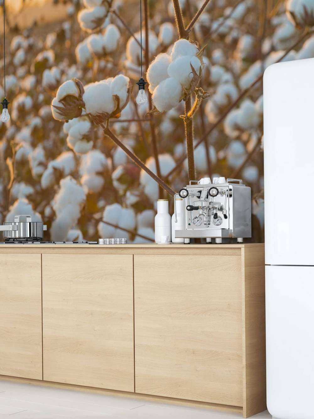 Bawełna Indyjska nad złotożółtym niebem