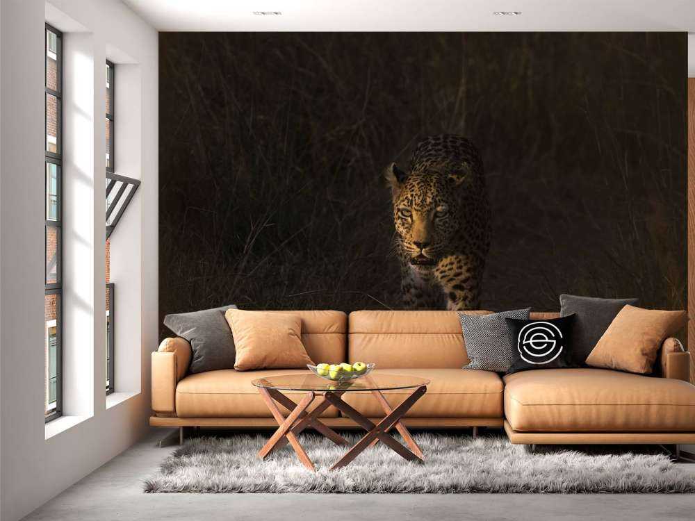 Lampart na tle zachodzącego słońca