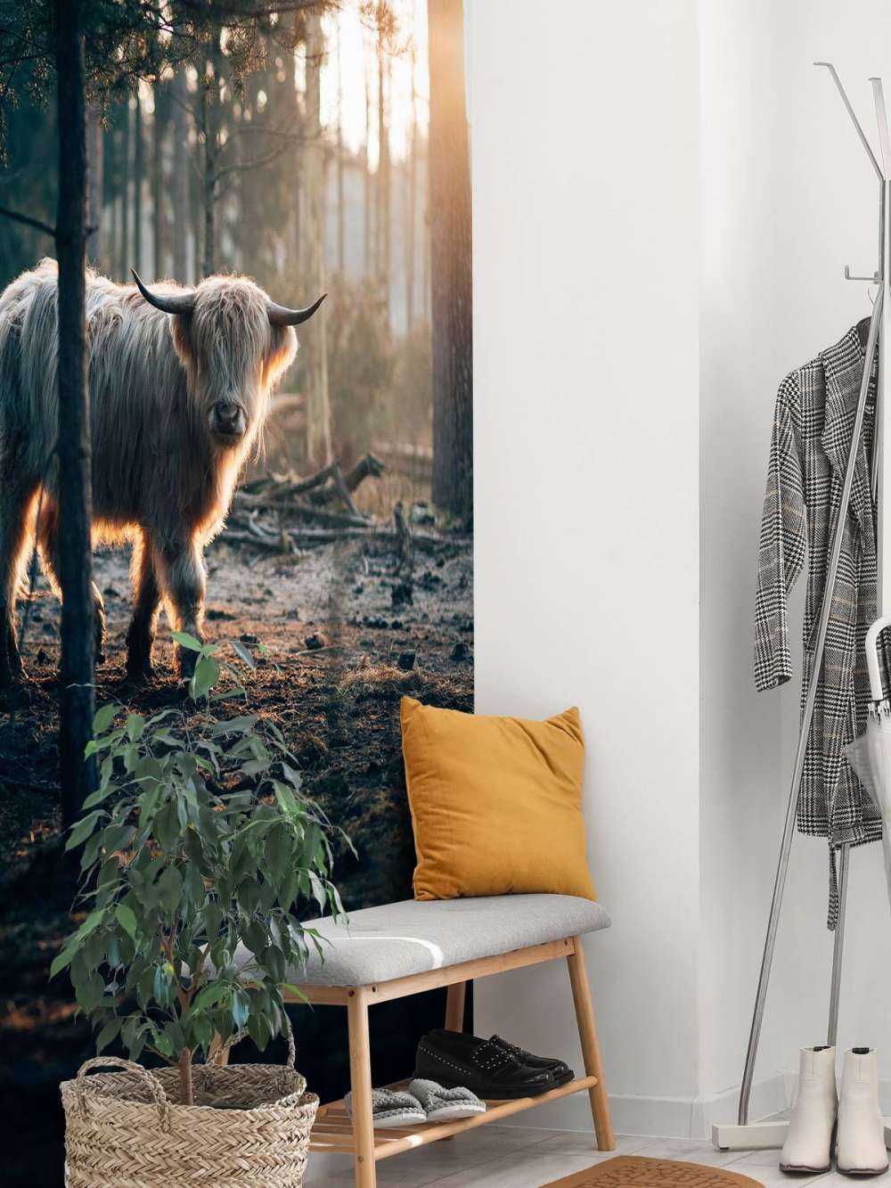 Biały szkocki wyżyn