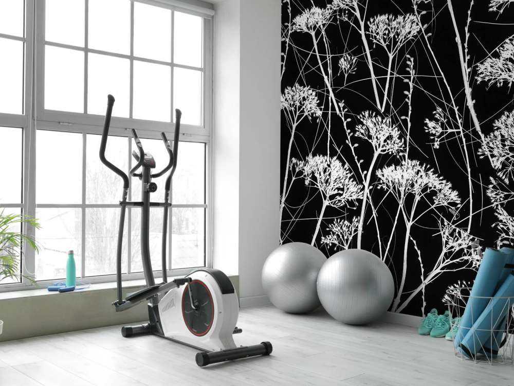 Sylwetka suszonych roślin