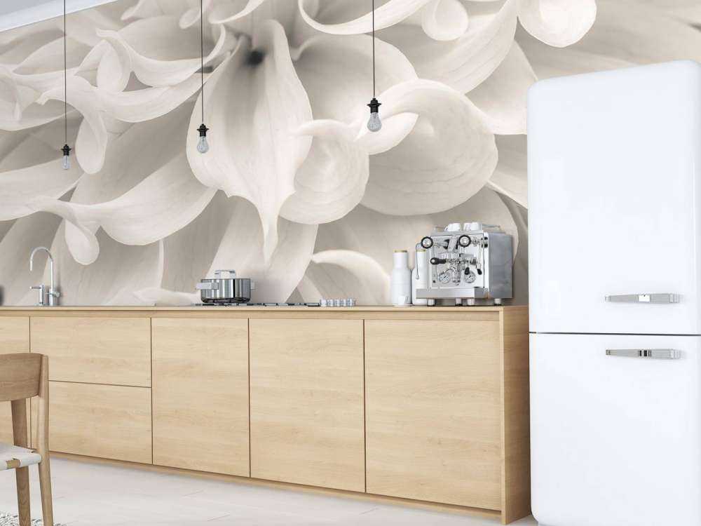 Zbliżenie na kwiat dalii