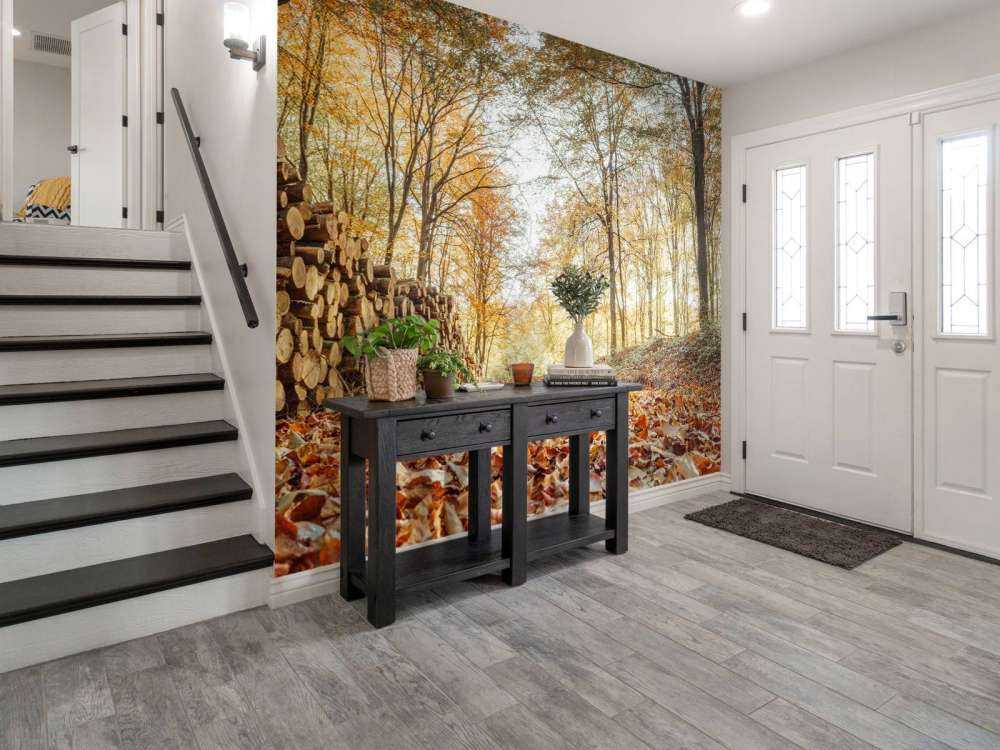 Pnie drzew w jesiennym lesie