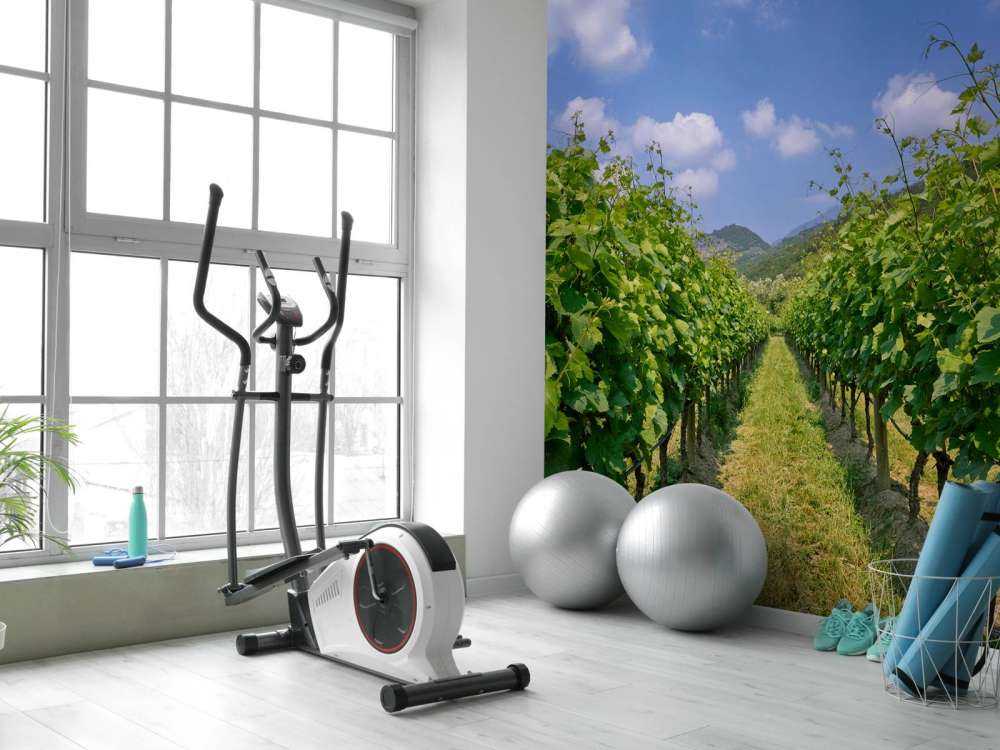 Winnica we Włoszech