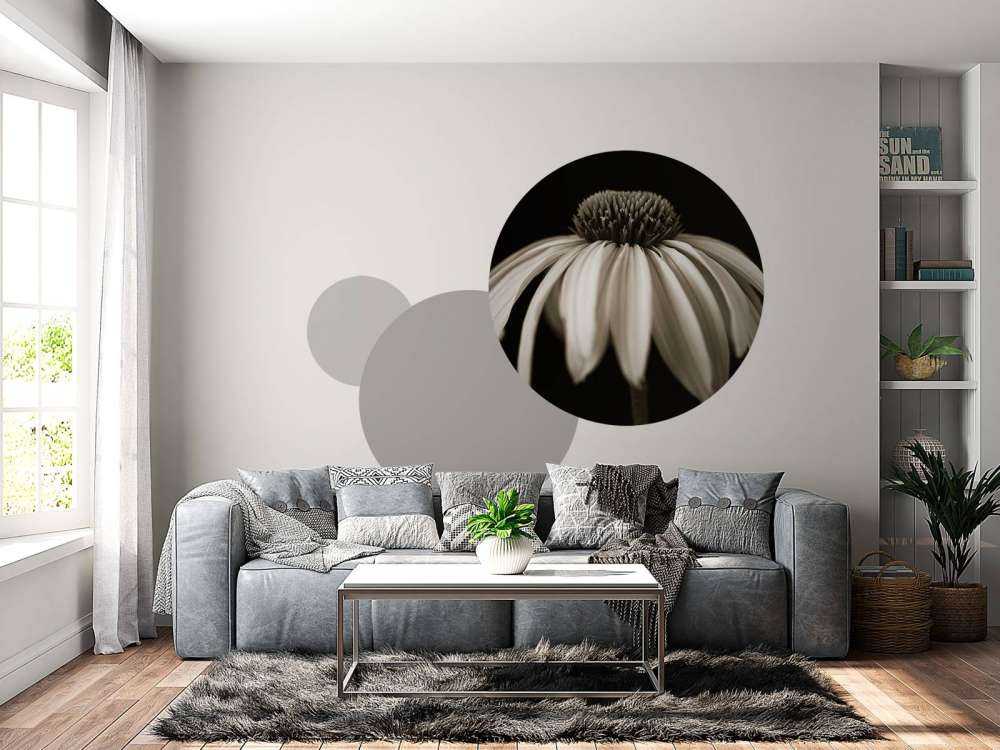 Zbliżenie na kwiat stożka