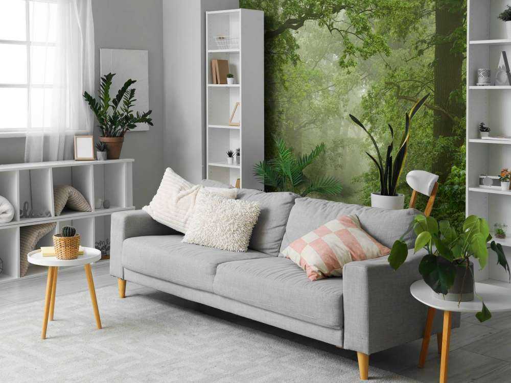 Mglisty las z drogą