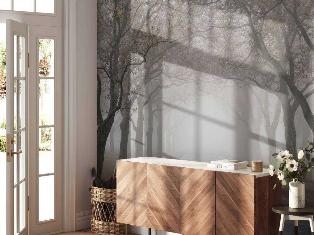 Droga ze starymi drzewami