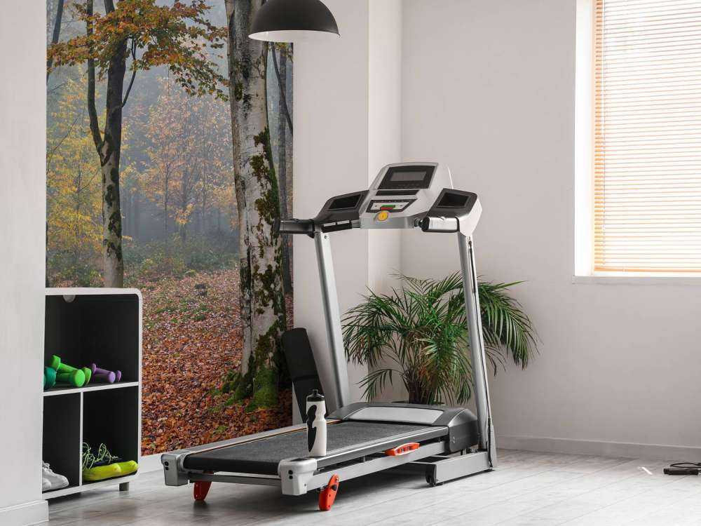 Jesienny las brzozowy